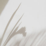 Blue & Gold Roses Funeral Program Template, Memorial Obituary (Canva Template)