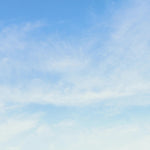 Blue & Gold Roses Funeral Program Template, Memorial Obituary (Canva Template)